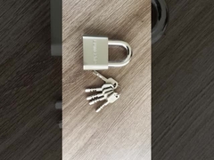 Round Corner Vane Iron Padlock High Security Padlock Finsh SN GP CP AB Pin Tumbler